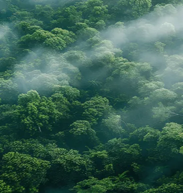 Environmental